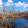 Susquehanna-Wetlands-4-of-28