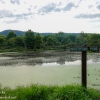 Susquehanna-wetlands-10-of-38
