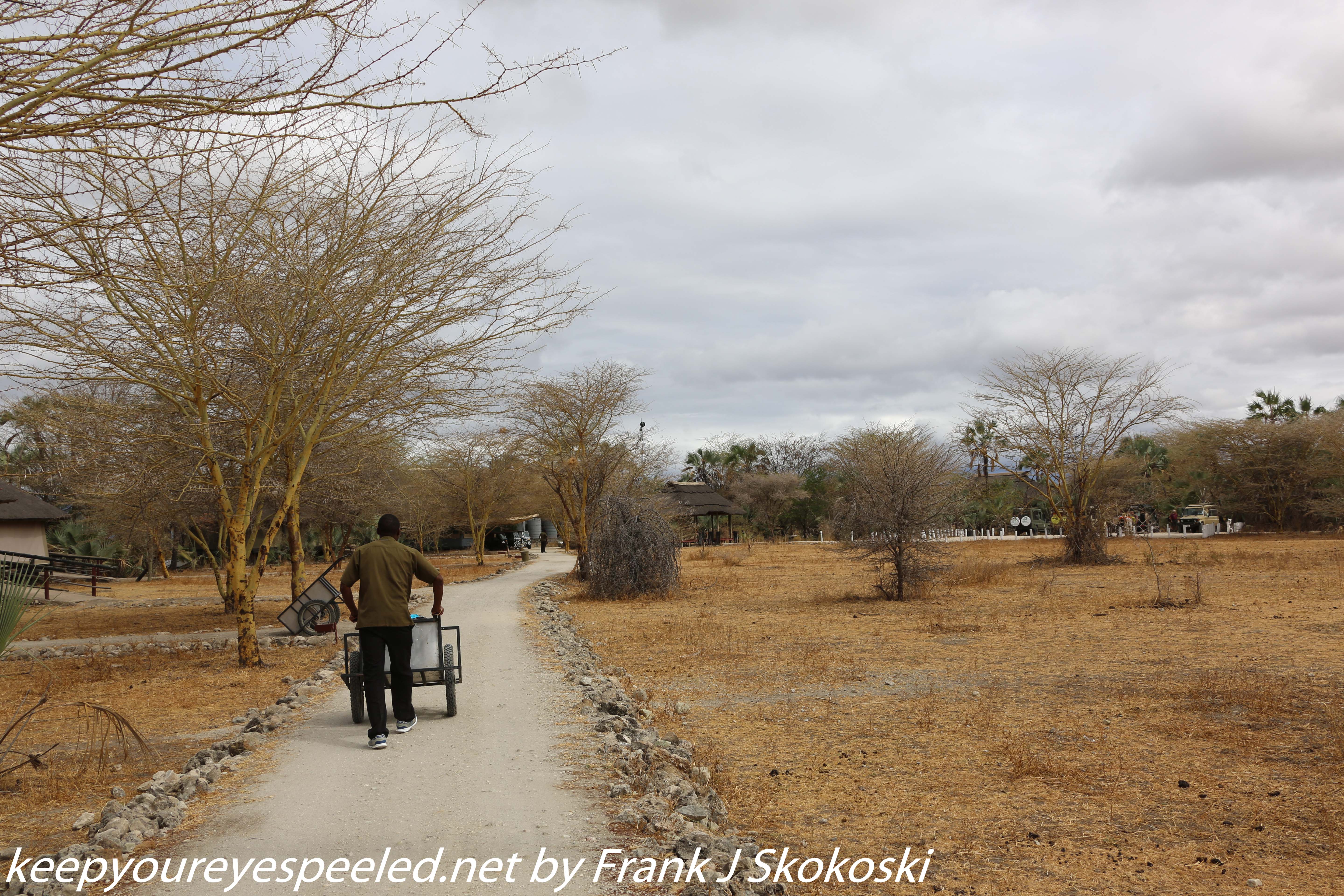 Tanzania-Day-Eight-lodge-mornign-walk-35-of-35