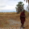 Tanzania-Day-Eight-lodge-mornign-walk-15-of-35