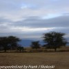 Tanzania-Day-Eight-lodge-mornign-walk-19-of-35