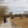 Tanzania-Day-Eight-lodge-mornign-walk-35-of-35