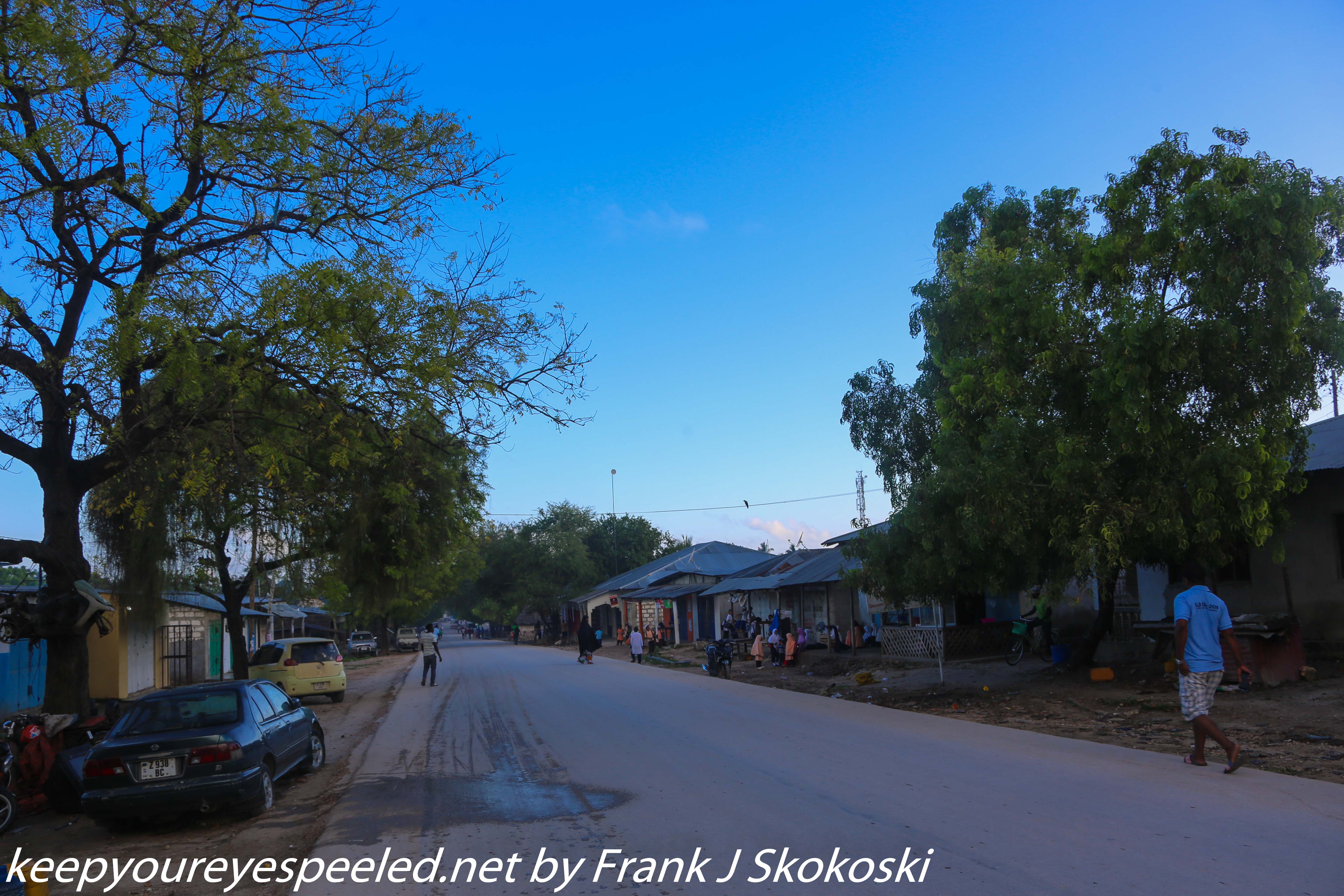 Tanzania-Day-Five-morning-walk-23-of-33