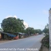 Tanzania-Day-Five-morning-walk-15-of-33