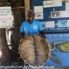 Tanzania-Day-Five-zanzibar-turtle-preserve-17-of-27