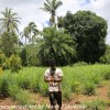Tanzania-Day-four-Spice-farm-14-of-39