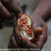 Tanzania-Day-four-Spice-farm-24-of-39