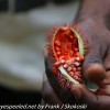 Tanzania-Day-four-Spice-farm-26-of-39