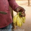 Tanzania-Day-four-Spice-farm-33-of-39