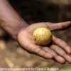 Tanzania-Day-four-Spice-farm-7-of-39