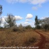 Tanzania-Day-Nine-Ngorongoro-Farm-lodge-afternoon-walk-19-of-37