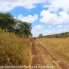 Tanzania-Day-Nine-Ngorongoro-Farm-lodge-m-noon-bwalk-2-of-10