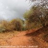 Tanzania-Day-Nine-Ngorongoro-Farm-lodge-m-noon-bwalk-7-of-10