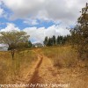Tanzania-Day-Nine-Ngorongoro-Farm-lodge-m-noon-bwalk-8-of-10