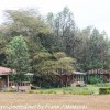 Tanzania-Day-Nine-Ngorongoro-Farm-lodge-morning-hike-13-of-15
