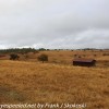 Tanzania-Day-Nine-Ngorongoro-Farm-lodge-morning-hike-2-of-15