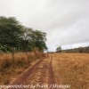 Tanzania-Day-Nine-Ngorongoro-Farm-lodge-morning-hike-3-of-15