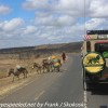 Tanzania-Day-seven-drive-to-Tarangire-16-of-32