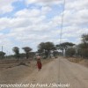 Tanzania-Day-seven-drive-to-Tarangire-27-of-32
