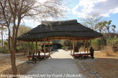 Tanzania Day Seven Tarangire lodge  evening  October 4 2019 walk 