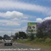 Tanzania-Day-Six-Arusha-9-of-46