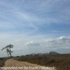Tanzania-Day-Ten-Serengeti-animals-9-of-22