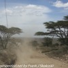 Tanzania-Day-Ten-Serengeti-drive-and-camp-10-of-29