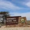 Tanzania-Day-Ten-Serengeti-drive-and-camp-2-of-29