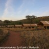 Tanzania-Day-Ten-Serengeti-drive-and-camp-23-of-29