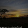 Tanzania-Day-Ten-Serengeti-drive-and-camp-24-of-29