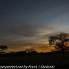 Tanzania-Day-Ten-Serengeti-drive-and-camp-26-of-29