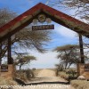 Tanzania-Day-Ten-Serengeti-drive-and-camp-3-of-29