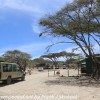 Tanzania-Day-Ten-Serengeti-drive-and-camp-4-of-29