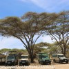 Tanzania-Day-Ten-Serengeti-drive-and-camp-5-of-29