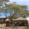 Tanzania-Day-Ten-Serengeti-drive-and-camp-6-of-29