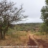 Tanzania-Day-Ten-Ngorongoro-Farm-morning-walk-6-of-12