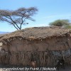 Tanzania-Day-Ten-Serengeti-Masai-Village-18-of-48