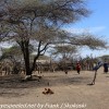 Tanzania-Day-Ten-Serengeti-Masai-Village-29-of-48