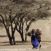 Tanzania-Day-Ten-Serengeti-Masai-Village-41-of-48
