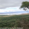 Tanzania-Day-Thirteen-Lake-Manyara-morning-31-of-50