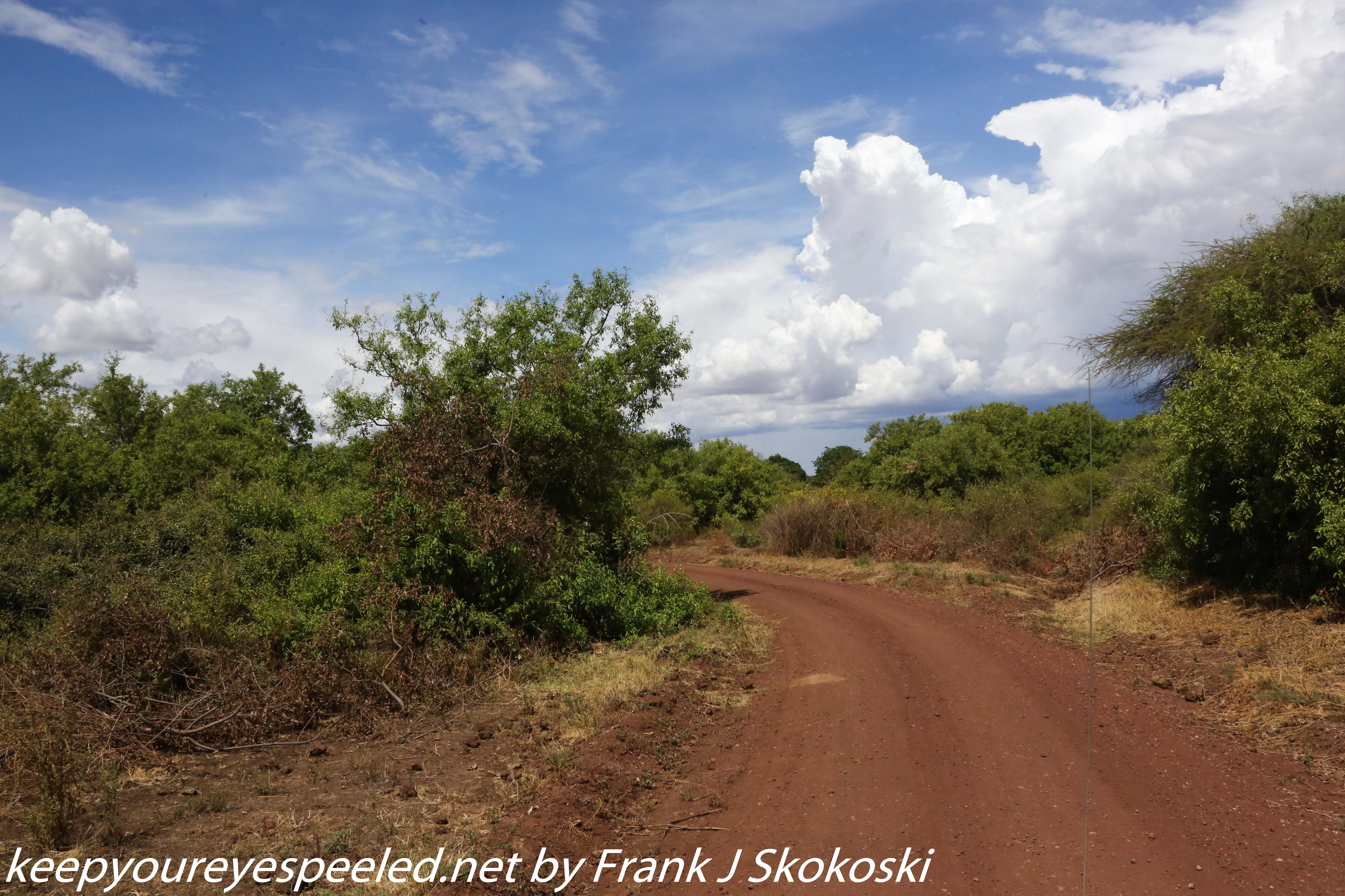 Tanzania-Day-Tweleve-Lake-Manyara-drive-12-of-50