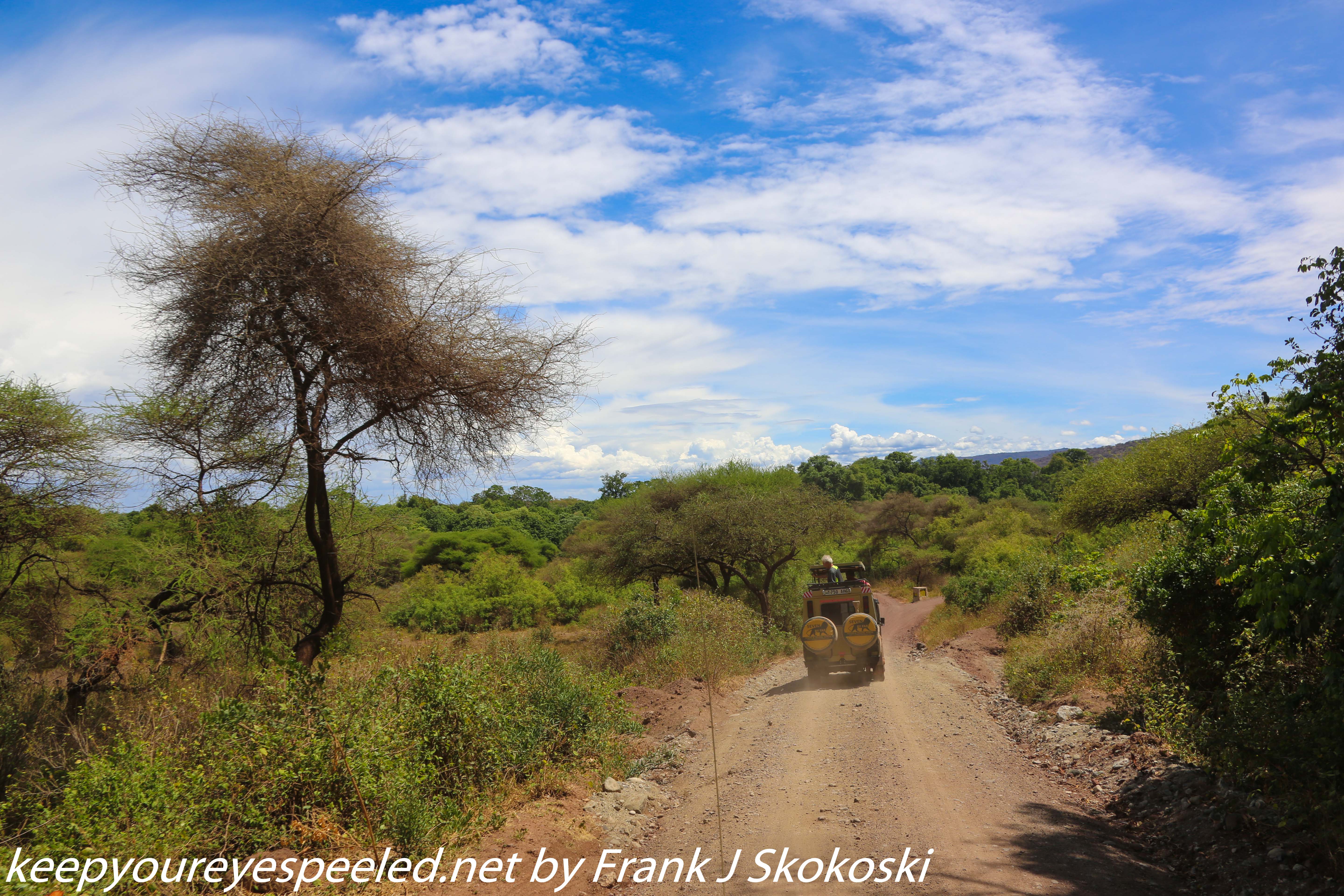 Tanzania-Day-Tweleve-Lake-Manyara-drive-9-of-50