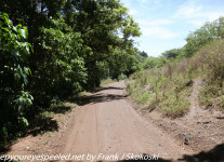 Tanzania-Day-Tweleve-Lake-Manyara-drive-1-of-50