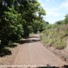 Tanzania-Day-Tweleve-Lake-Manyara-drive-1-of-50