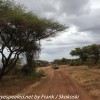Tanzania-Day-Tweleve-Lake-Manyara-drive-44-of-50