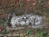 Transfiguration Cemetery  headstones  (6 of 55)