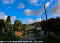 Trinidad-Day-Seven-Grande-Riviere-afternoon-walk-1-of-26