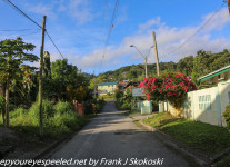 Trinidad-Day-Seven-Grande-Riviere-morning-walk-1-of-42