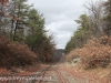 Railroad tracks hike  (35 of 47)