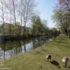 Walnutort-Canal-Hike-5-of-41
